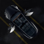 CUTIM Angel Wings Door Welcome Lights for Model 3/Y/S/X