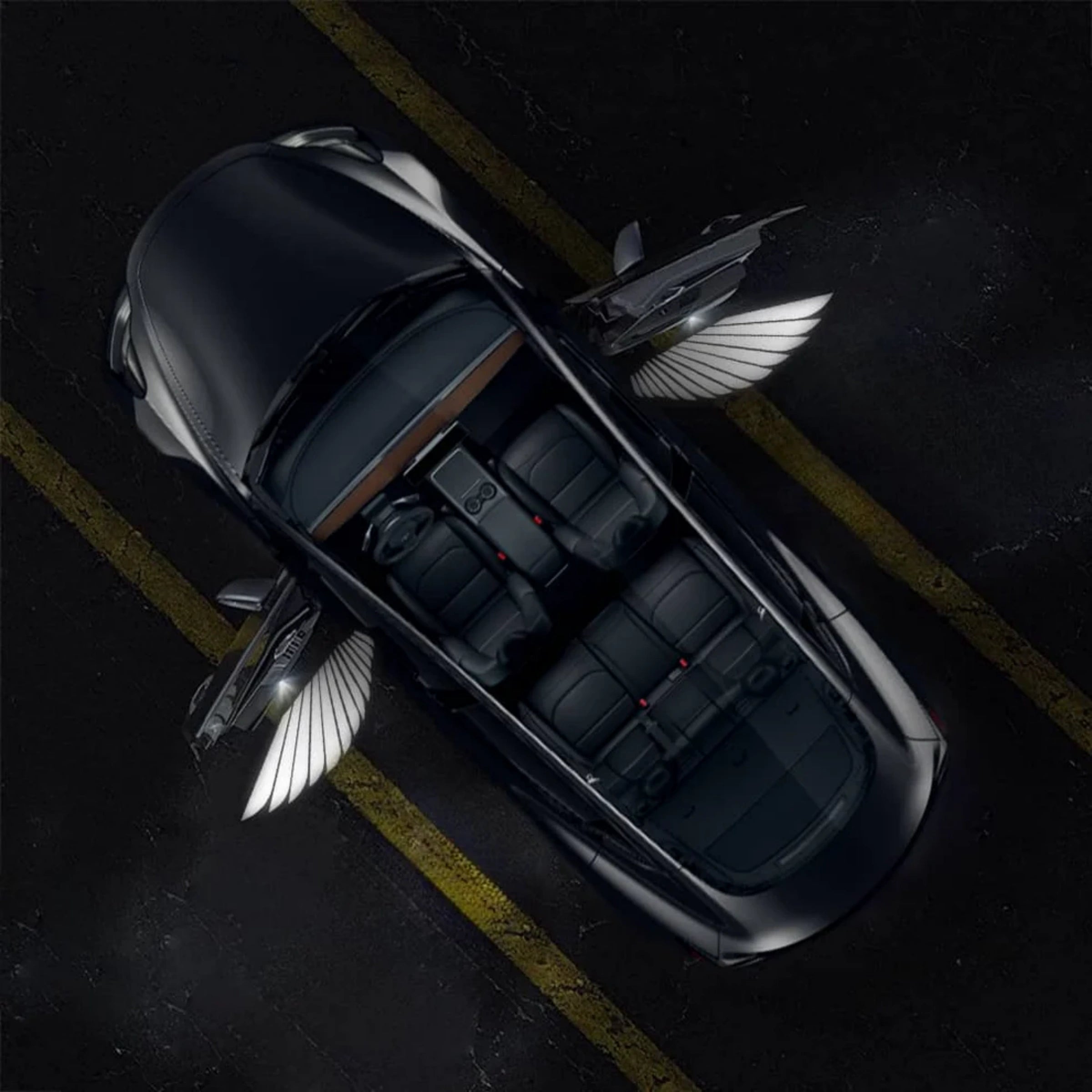 CUTIM Angel Wings Door Welcome Lights for Model 3/Y/S/X