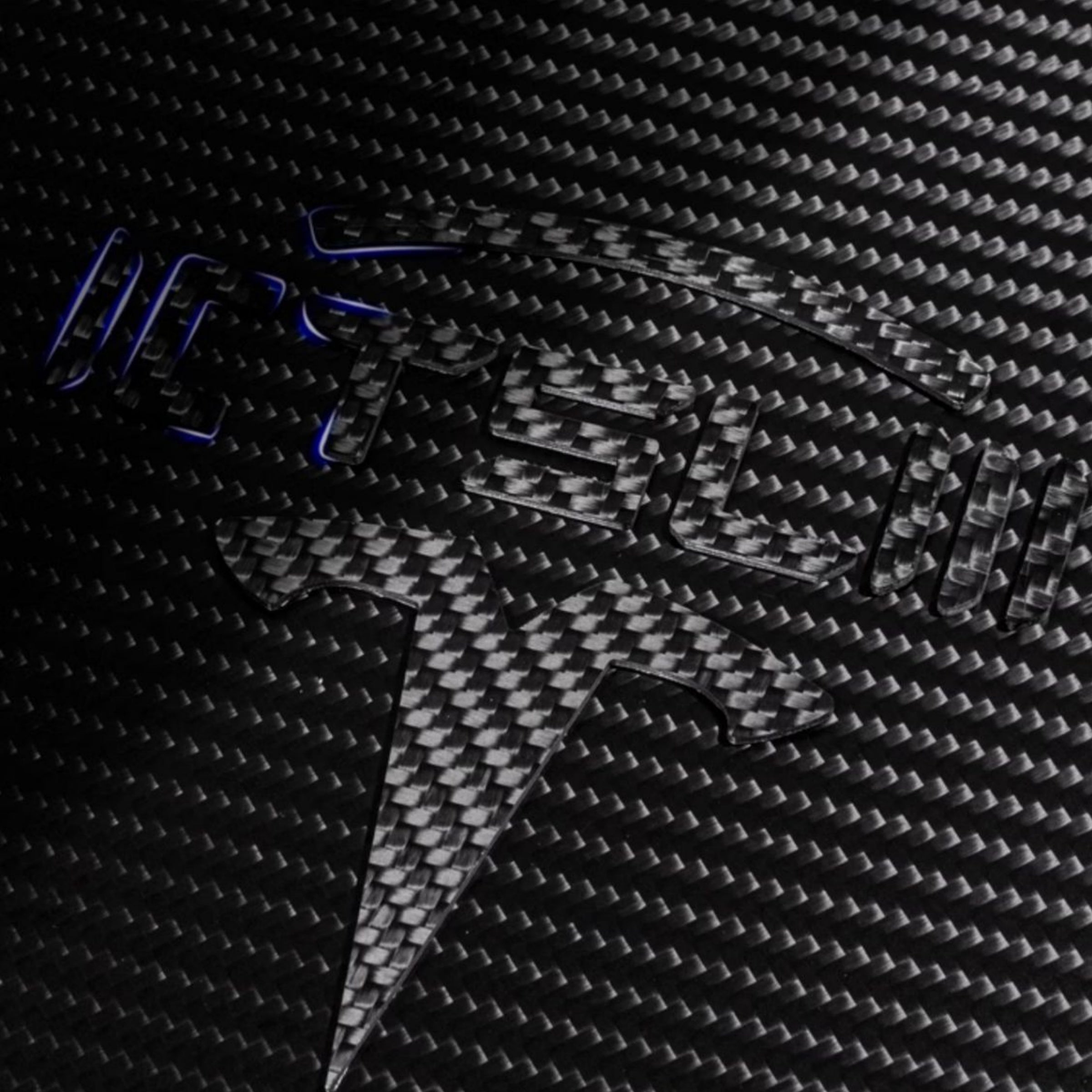 Model 3 / Y T Logo Overlay Front & Rear – Real Carbon Fiber Exterior